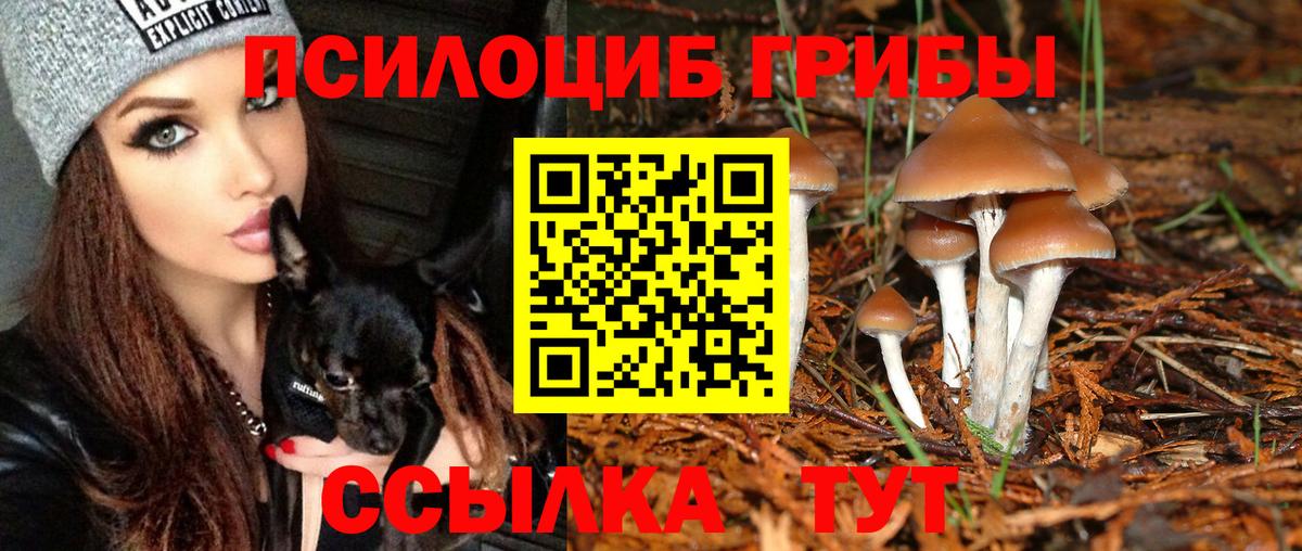 Псилоцибиновые грибы MAGIC MUSHROOMS  Вход с VPN  Галлюциногенные грибы прущие грибы  закладка  Всеволожск 