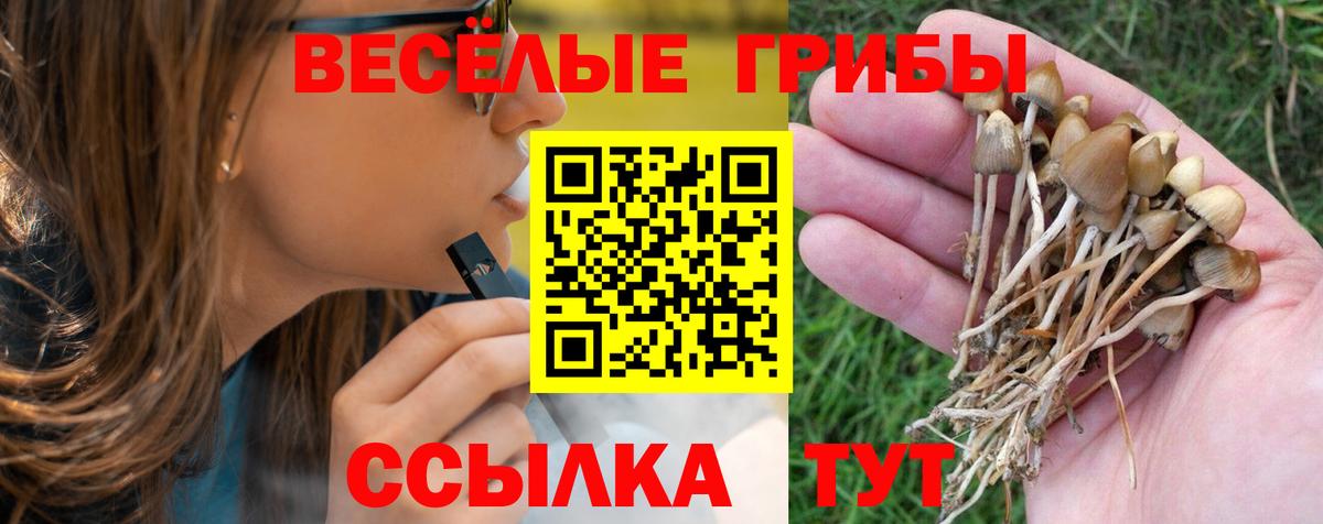 Псилоцибиновые грибы мухоморы Всеволожск